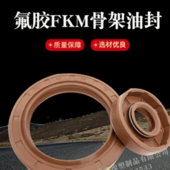 氟胶油封TC密封圈FKM 高温酸碱旋转轴用 油封密封件