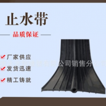 厂家供应工业用止水带 黑色抗磨损橡胶止水带 定制止水带图2