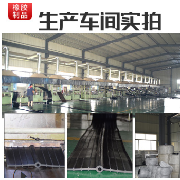 中埋式橡胶止水带651型背贴式外贴式可卸式钢边式水利建筑工程用图2