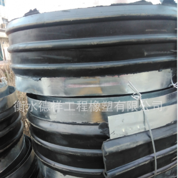 中埋式钢边止水带 350*10mm 厂家发往汕尾陆丰图3