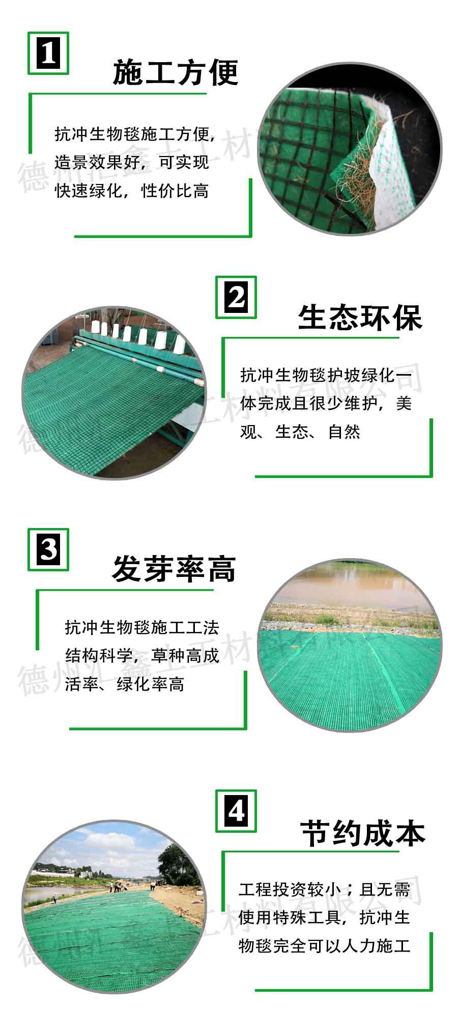 抗冲生物毯特点.jpg