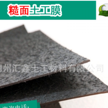 双糙面土工膜 柱点防滑单糙面土工膜 防渗土工膜图2