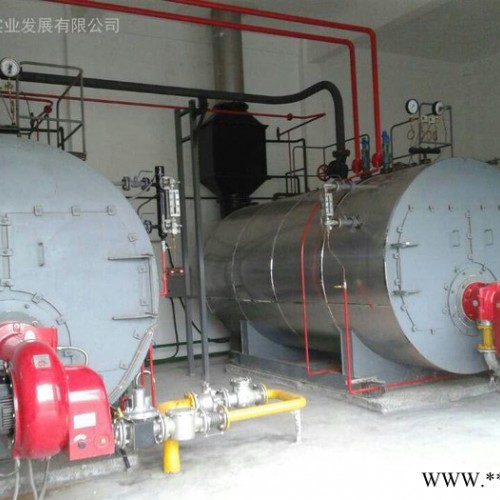 卧式2吨锅炉油锅炉（橡胶机械硫化装置专用）图3