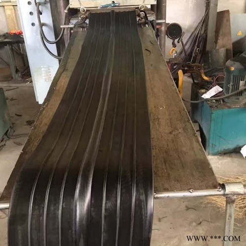 天然橡胶止水带 止水带作用 止水带 桥型止水带 橡胶膨胀止水带图3
