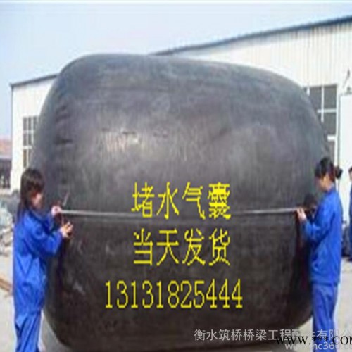 管道封堵气囊 天然橡胶管道封堵气囊 污水专用水堵 型号图2