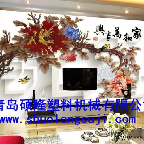 硕隆1220其他塑料机械图3