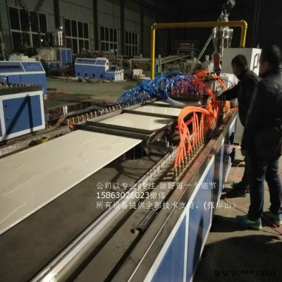 卓尔威SJ65/33塑料机械板材设备生产供应厂家 PVC竹木纤维集成墙板生产线