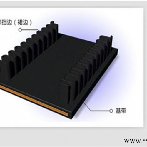 优惠报价 裙边输送带 传动带 输送带加工定制 隆发橡胶图6