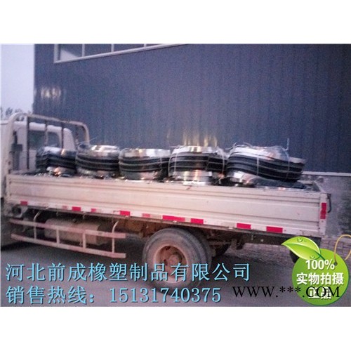 《河北前成》加工定做伸缩缝 止水带  外贴式橡胶止水带 中埋式橡胶止水带国标半国标400*8图8
