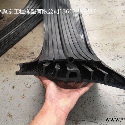 加工定做止水带 钢边橡胶止水带 中埋式建筑施工缝国标丁基腻子钢板止水带图3