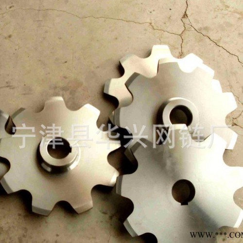 山东链轮规格 链条传动橡胶链轮 工业输送双排链轮加工图2
