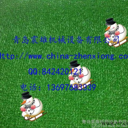 塑料板材设备，PE淘金草设备，塑料地垫生产线图3