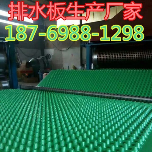 20高塑料板排水层 20塑料排水板价格
