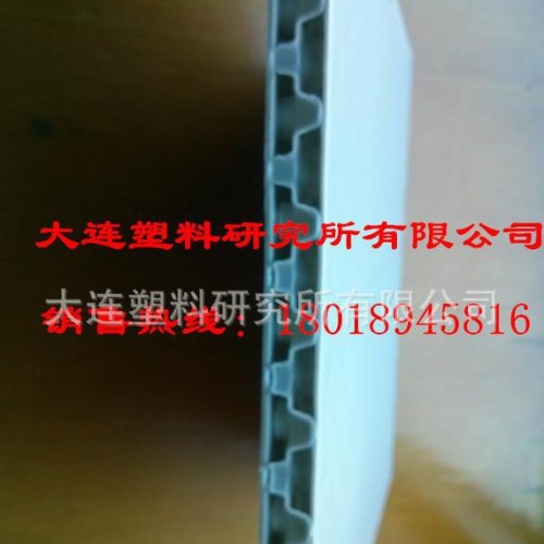 大塑研包装用高强度蜂窝状塑料板材生产线DSY-FWB-2000图2