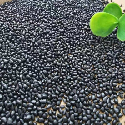 pe pp通用注塑黑色母粒 生产厂家 黑色色母粒图4