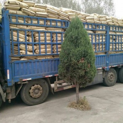 pvc树脂粉合成树脂热稳定剂图3
