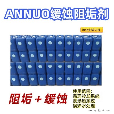 AN0100反渗透膜分散剂浓缩液 水质稳定剂厂家 反渗透膜抑垢剂