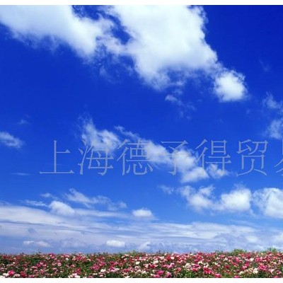EFKA分散剂 EFKA4047图2