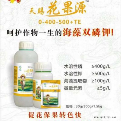 供应靓果红 桂林柑橘着色剂  桂林柑橘着色剂的分类  不软不裂不空心  不含乙烯利    广东贡桔着色剂图2