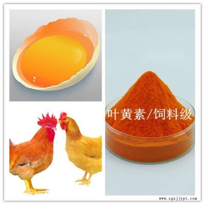 绿川饲料叶黄素2% 万寿菊提取物 天然着色剂 蛋黄着色  禽类专用图7