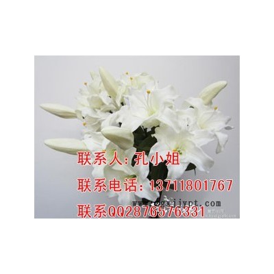 聚氨酯树脂 1048软发泡料 柔软动漫定格专用 PU发泡胶 仿真花草树叶发泡剂