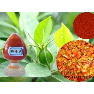 食品级 栀子黄 植物提取 栀子黄素着色剂    栀子黄生产厂家图2