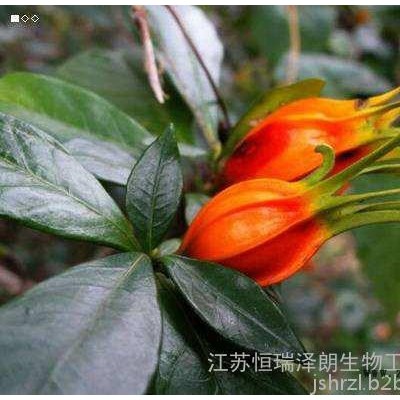 GREENEOS  桅子黄 天然植物提取物 食品着色剂图2