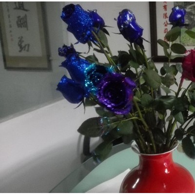 新鲜幻彩玫瑰着色剂植物工艺品图7