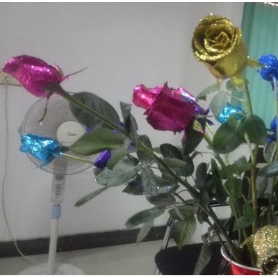新鲜幻彩玫瑰着色剂植物工艺品图5