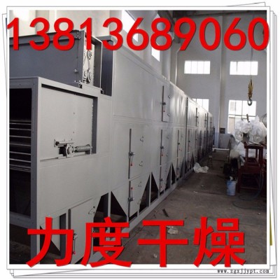 常力供应颜料专用DWL系列带式干燥机图4