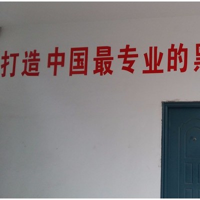 卡博特  瑞博高浓度黑色母粒图7