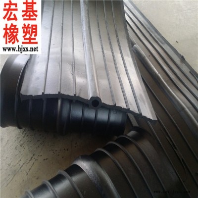 专业生产 橡胶止水带 后浇带橡胶止水带 后浇带中埋式橡胶止水带 批发零售图1