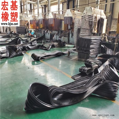 专业生产 橡胶止水带 后浇带橡胶止水带 后浇带中埋式橡胶止水带 批发零售图5