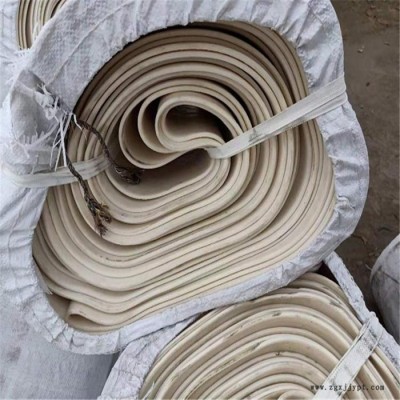 海晨供应  塑料外贴橡胶止水带 ECB塑料止水带 pvc止水带塑料止水带 止水带厂家图2