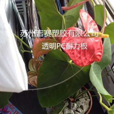 高透明PC塑料薄板，吸塑丝印加工效果好图3