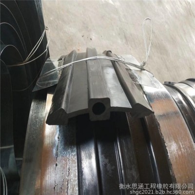 思涵销售Z9-30橡胶止水带 闸门水封止水带 欢迎下单图6