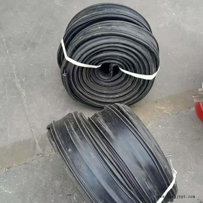 建邦 伸缩缝防尘止水条 伸缩缝橡胶止水带 伸缩缝密封条图5