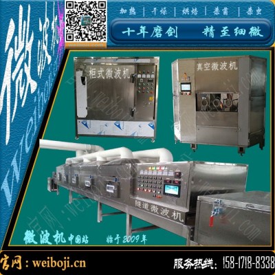 新型橡胶硫化机 微波硫化设备图2