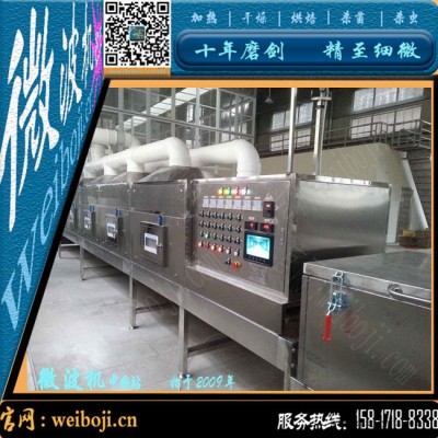 新型橡胶硫化机 微波硫化设备图4