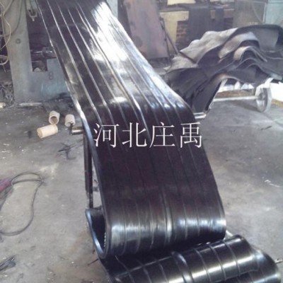 厂家供应止水带 橡胶止水带 闸门水封 橡胶圈 可定做P型止水带图3