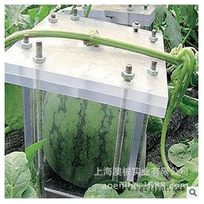 塑料小形西瓜磨具注塑定做开模加工件图4