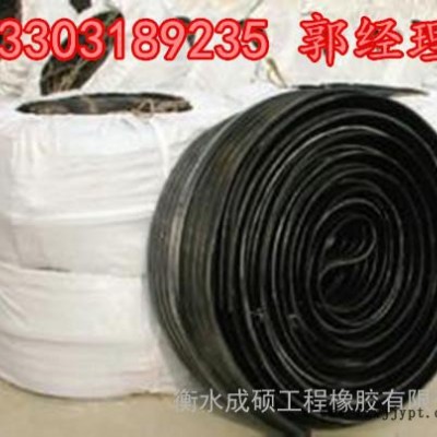 ** 止水带 橡胶止水带 接缝用橡胶止水带  国标橡胶止水带图3