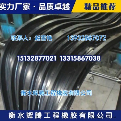 辉腾工业用橡胶制品建筑施工缝用橡胶止水带专卖图3