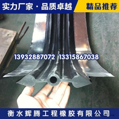 辉腾工业用橡胶制品建筑施工缝用橡胶止水带专卖图2