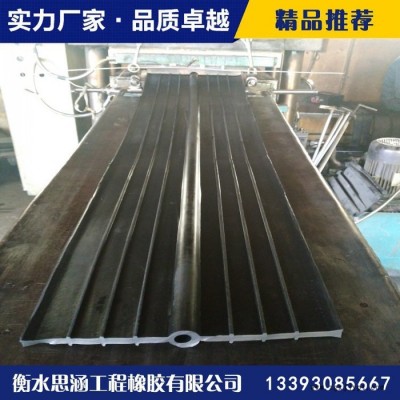 辉腾工业用橡胶制品建筑施工缝用橡胶止水带专卖
