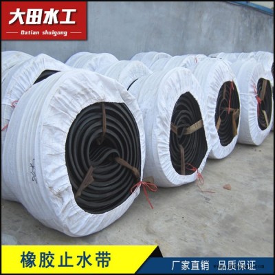 橡胶止水带厂家　止水用橡胶带　闸门水封　闸门侧止水图5