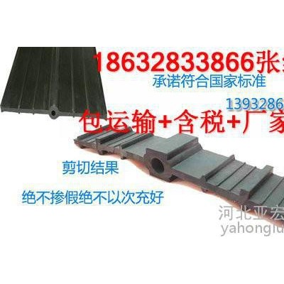 【百里挑一】钢边橡胶止水带生产厂家|**排水塑料盲沟图3