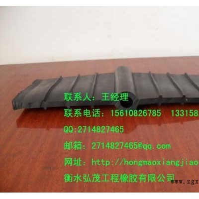 供应中埋橡胶止水带价格 651橡胶止水带 **的橡胶止水带厂家图4
