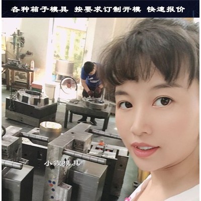 网红塑料PA66日用品模具 塑料PC+ABS周转箱模具 塑料托盘模具图2
