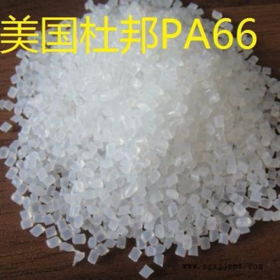 PA66  杜邦 101L图2